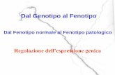 Dal Genotipo al Fenotipo - ScMot 12-1¢  Dal Genotipo al Fenotipo Dal Fenotipo normale al Fenotipo patologico