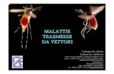 MALATTIE TRASMESSE DA VETTORI - AUSL Ferrara · 2010-03-25 · Copepod: Cyclops sp. Sparganosis Diphyllobothrium spirometra (parasite, cestode, tapeworm) Man swallows infected Cyclops.