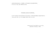 TESIS DOCTORAL - UCMwebs.ucm.es/BUCM/tesis//19911996/D/0/AD0083401.pdf · La Tesis Doctoral “FACTORES PRONOSTICO DEL CARCINOMA GASTRICO. VALOR DE LA CITOMETRIA DE FLUJO”, realizada