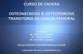 CURSO DE CADERA OSTEONECROSIS & OSTEOPOROSIS … · 2013-12-11 · fluoroscopio Método alternativo: - Múltiples perforaciones clavo steiman 3.2mm-Kim et al. 35 múltiples perforaciones