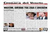 Cronaca 58.000 Spedizioni del Veneto Quotidiano on-line di Belluno, Padova, Rovigo, Treviso, Venezia,