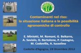 Contaminanti nel riso: la situazione italiana e le ... 19-12-… · Limite di cadmio nel riso pari a 0,2 mg kg-1 (Reg. CE N.466/2001, oggi Reg. CE N.1881/2006) 2005 Indagine di AltroConsumo