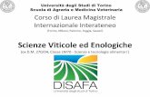 Scienze Viticole ed Enologiche - unito.it2018/05/14  · Enologia: conoscenza delle fondamentali operazioni unitarie e dei processi di trasformazione delle uve. SYLLABUS di Scienze
