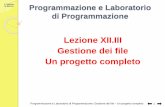 Lezione XII.III Gestione dei file Un progetto completocgaibisso/Corso 2017/Lezioni/L12... · 2018-01-11 · Programmazione e Laboratorio di Programmazione: Gestione dei file –Un