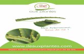 Ile aux...2 Aloe arborescens Une grande capacité de résistance aux maladies Anti-bactérien Anti-fongique Anti-viral F orte concentration en nutriments L’ agence nature - ww w.