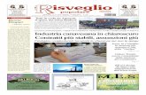 isveglio · Poste Italiane s.p.a. - Spedizione in abbonamento postale - D.L. 353/2003 (conv. in L. 27/02/2004 n. 46) art. 1, Comma,1, DCB Torino - N. 15/2019 ANNO XCIX - N° 15 -