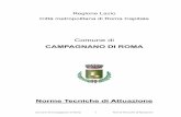 Norme Tecniche di Attuazione - Campagnano di Roma · Comune di Campagnano di Roma 8 Norme Tecniche di Attuazione a) Laboratori di ricerca e attività artigianali compatibili con la