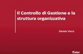 Il Controllo di Gestione e la struttura organizzativa Controllo di Gestione e la struttura organizzativa