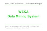 WEKA Data Mining System - unibo.it · 2008-12-02 · 3 WEKA: Introduzione Software di machine learning e data mining Università di Waikato (Nuova Zelanda) Scritto in Java Licenza