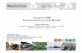 Il progetto GIM Gestione Informata della Mobilità · 2013-10-28 · Il progetto GIM 5/13 Criteri di valutazione Obiettivi di progetto in chiara relazione con i bisogni precedentemente