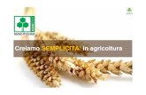 Creiamo SEMPLICITA’ in agricoltura Medicina Vegetale/Atti Anno 2011/II... · CH 2011\QUANTUM.... 3 NH O CH 3 NH CH 3 H C 3 O O H C 3 CH 3. QUANTUM MZ: Dimetomorph + ... viticola)