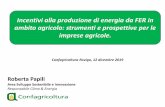Incentivi alla produzione di energia da FER in ambito ... · In breve Strategia UE per il lima e l’energia al 2030; Strategia energetica nazionale al 2030: Aggiornamento della Strategia