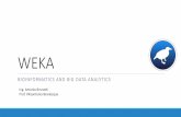 WEKA · 2019-06-04 · Cosa è WEKA •Sviluppato dall’UniversitàWaikato in Nuova Zelanda. •Acronimo per Waikato Environment for Knowledge Analysis. •È una collezione di algoritmi