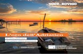 L’oro dell’Adriatico - Distretto Ittico di Rovigo e ... · Benvenuti a Chioggia e nel nostro meraviglioso Delta del Po ai buyers stra- ... meeting sarà occasione per portare