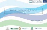 Studiare e monitorare i rifiuti marini: l’esperienza SMILElife-smile.eu/wp-content/uploads/2016/05/arpal.pdfRifiuti in mare: altri progetti (2013-2015) Per lo sviluppo una guida