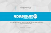 BIOCNG, LNG E BIOLNG: L’EVOLUZIONE DEL GAS NATURALE … · (31% Italia) (aggiornamento ottobre 2019) Capitolo 2 Dati di settore . federmetano.it 6 Il metano per autotrazione in