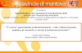Convegno - Provincia di Mantovasintesi.provincia.mantova.it/Portale/Portals/0/... · 2016-10-20 · 1 Convegno Apprendistato e altri strumenti di incentivazione delle aziende per