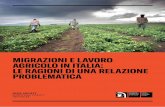 MIGRAZIONI E LAVORO AGRICOLO IN ITALIA: LE …...2018/12/05  · 5 LE RAGIONI DELLA DOMANDA DI LAVORO IRREGOLARE E IN CONDIZIONI DI SFRUTTAMENTO NELL’AGRICOLTURA DEL SUD ITALIA 5