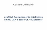 Cesare Cornoldi - labda- le premesse per un percorso di formazione professionale Consiglio orientativo