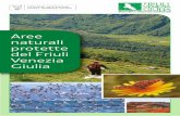 Aree del Friuli · 2016-04-06 · Il Parco Naturale Regionale delle Dolomiti Friulane è stato istituito nel 1996. È inserito nel comprensorio montano soprastante l’alta pianura