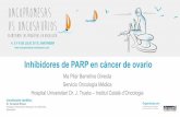 Inhibidores de PARP en cáncer de ovario · Presence of a single allele2 A discrepancy in the 1:1 allele ratio at the end of the chromosome (telomere)3 Transition points between regions