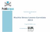 Rischio Stress Lavoro-Correlato 2013 - USB publiacqua · Il Rischio Stress L-C Soggetti Implicati Metodologia Strumenti SOGGETTIVA Gruppi omogenei Azioni Correttive I danni alla salute
