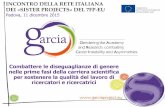 INCONTRO DELLA RETE ITALIANA DEI «SISTER PROJECTS» DEL …gendertime.dei.unipd.it/wp-content/uploads/2016/01/... · Perspective, GARCIA working papers n. 3, University of Trento