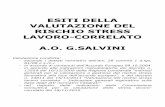 Valutazione del rischio STRESS LAVORO-CORRELATO€¦ · 1.1 Il Percorso di VDR Stress lavoro correlato nell’ A.O. G. Salvini - anno 2011: le fasi e il crono programma aziendale
