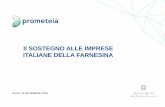 Il SOSTEGNO ALLE IMPRESE ITALIANE DELLA …...2018/11/16  · Il sostegno alle imprese italiane della Farnesina- Anno 2017 24 ANALISI DELLE AZIENDE PARTECIPANTI Settore di appartenenza: