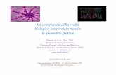La complessità della realtà biologica interpretata tramite la …effediesse.mate.polimi.it/file/1/File/Seminari/GLosa... · 2014-01-29 · La complessità della realtà biologica