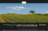 VITICULTURE DURABLE en champagne · 2014-05-13 · Le référentiel "Viticulture durable en Champagne" du CIVC est mis à disposition selon les termes de la Licence Creative Commons