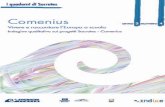 Comenius · 2010-03-02 · Comenius – nelle sue diverse tipologie – è parte. Il sotto-programma Comenius, che ha avuto ed ha come obiettivo migliorare la qualità dell'educazione