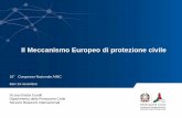 Il Meccanismo Europeo di protezione civileModuli di protezione civile • Un modulo è un insieme autosufficiente e autonomo di mezzi degli Stati membri predefinito in base ai compiti