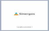 profilo aziendale - Sinergas · Sinergas si costituisce nel dicembre 1988 come consorzio per la promozione del risparmio energetico e della sicurezza nell’uso del gas, da allora