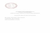 UNIVERSITA’ DEGLI STUDI DI PADOVA FACOLTA’ DI INGEGNERIA CORSO DI …tesi.cab.unipd.it/35591/1/TESI_UNIVERSITA.pdf · 2011-11-28 · determinato equilibrio tra le esigenze di