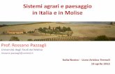 Sistemi agrari e paesaggio in Italia e in Molise€¦ · Le campagne •Un processo di organizzazione del territorio asato sull [agrioltura e sull ... considerando le città, e gli
