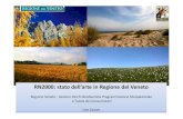 RN2000: stato dell’arte in Regione del Veneto...D.G.R. 4572 del 28.12.2007 - Enti incaricati per la redazione dei Piani di Gestione delle ZPS già individuate con la D.G.R. 2371/2006.