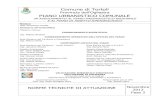 Comune di Tortolìpuc.comuneditortoli.it/public/allegati_contenuti/... · 2013-04-11 · Comune di Tortolì, fissa le norme di attuazione degli interventi e propone l’articolazione
