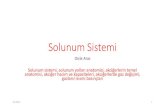 Solunum Sistemi€¦ · Solunum sistemi, solunum yolları anatomisi, akciğerlerin temel anatomisi, akciğer hacim ve kapasiteleri, akciğerlerde gaz değişimi, gazların kısmi