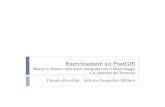 Esercitazione su PostGIS - Claudio Rocchini13 PostGIS -Claudio Rocchini -IGM, Scuola Superiore di Scienze Geografiche può contenere dati geometrici di tipo uniforme (scelta consigliata
