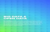 BIG DATA & OPEN DATA - Reply...utilizzate, come Hadoop, permettono queste operazioni in maniera rapida e trasparente. Un altro limite è la gestione dei dati BIG DATA & OPN DATA 4
