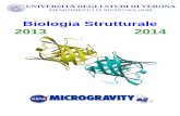 Biologia Strutturale 2013 2014 · Biologia Strutturale UNIVERSITÀ DEGLI STUDI DI VERONA DIPARTIMENTO DI BIOTECNOLOGIE 2013 2014 . 1 LA CRISTALLIZZAZIONE DI MACROMOLECOLE Step fondamentale