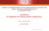 CORSO DI FORMAZIONE IN ECOCARDIOGRAFIA DI BASE PER …siec.zenix.it/Dispense/mat aggiuntivo_BASE_RMfeb16... · 11/2/2016. ELEMENTI DI FISIOLOGIA CARDIACA. Dott. Lidia Boccardi. Fellow