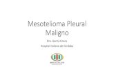 Mesotelioma Pleural Maligno - AOCCaocc.org.ar/wp-content/uploads/2018/02/Mesotelioma.pdf · Mesotelioma Pleural Maligno •Neoplasia maligna poco frecuente •Proviene de las células