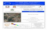 E:Comune di San Marco La CatolaPiano Protezione Civile ... · La suddetta direttiva, recepita in Italia dal D.Lgs. 49/2010, ha introdotto il Piano di Gestione Rischio Alluvioni (PGRA),
