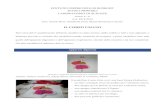 IL CORPO UMANO · 2019-04-16 · Apparato digerente Modellino e mappa dell’apparato digerente completati e appesi nel corridoio Alunni: Alunni: Ludovica, Zayd, Silvia, Giovanni
