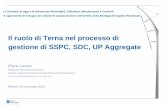 Il ruolo di Terna nel processo di gestione di SSPC, SDC ... Privati... · 4 La Deliberazione 578/2013 (TISSPC) ha introdotto la regolazione e gestione dei Sistemi Semplici di Produzione