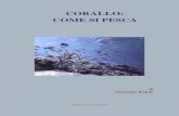 CORALLO: COME SI PESCA - Vesuvioweb · 2012-01-29 · grande viaggiatore veneziano del 1200, il quale portava con sé – nei numerosi viaggi che faceva in Cina, anche il corallo
