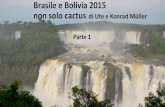 Brasile e Bolivia 2015 non solo cactus di Ute e Konrad ... · • Foz do Iguaçu nel triangolo Argentina-Paraguay-Brasile • Proseguimento del viaggio verso Santa Cruz de la Sierra