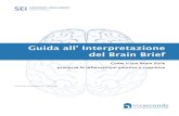 Guida all’ Interpretazione del Brain Brief · Il SEI Brain Brief Profile identifica lo stile con cui il tuo cervello elabora i dati cognitivi ed emotivi. Perché è importante?